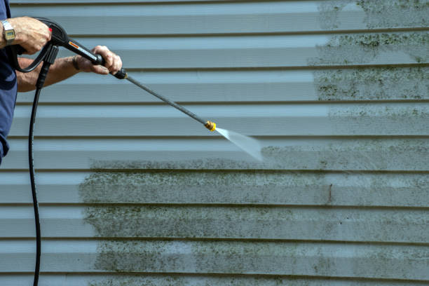Solar Panel Cleaning in Auburn, KY